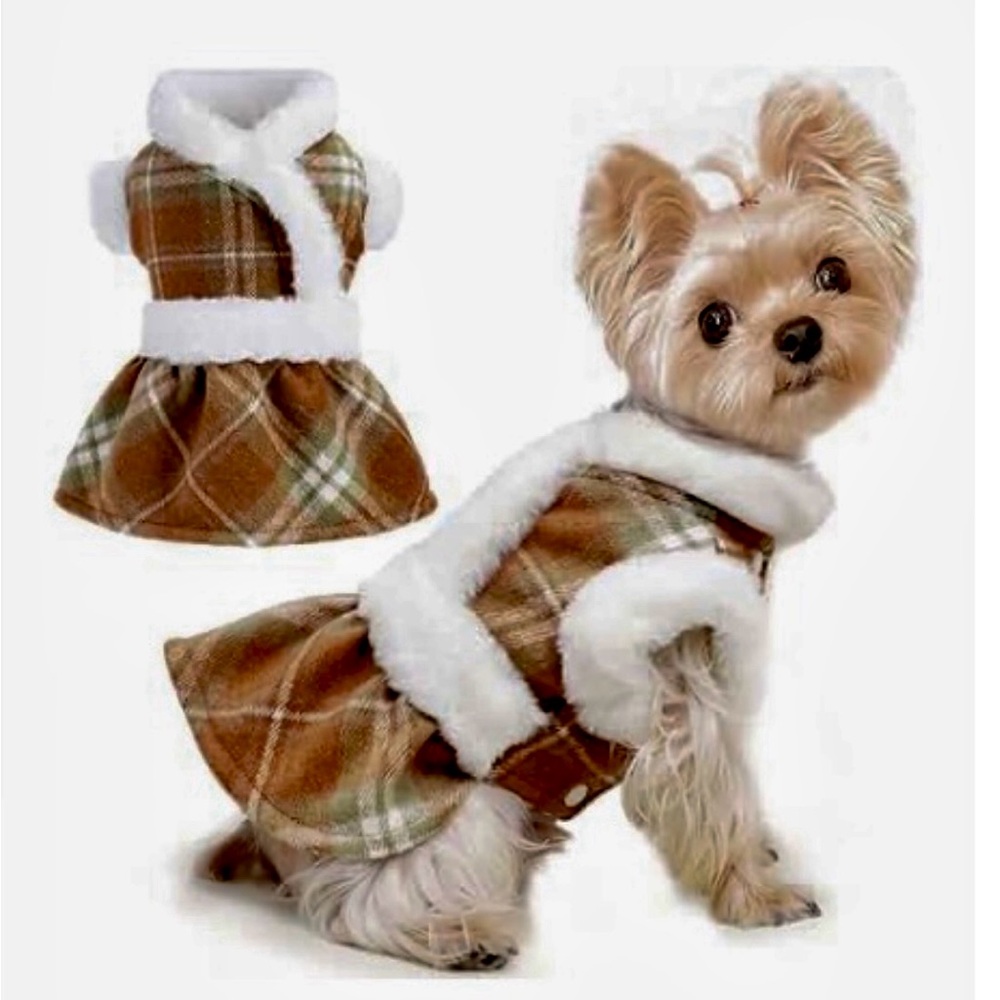 Adorable jacket for chihuahuas or yorkies!!
